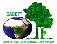 Logo CAGDFT