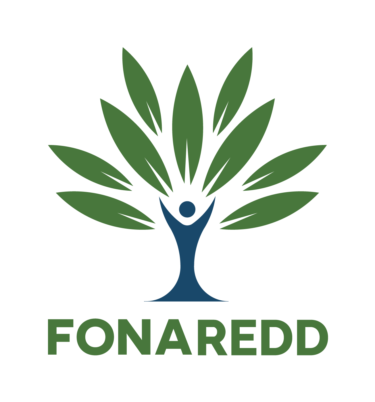 Logo FONAREDD